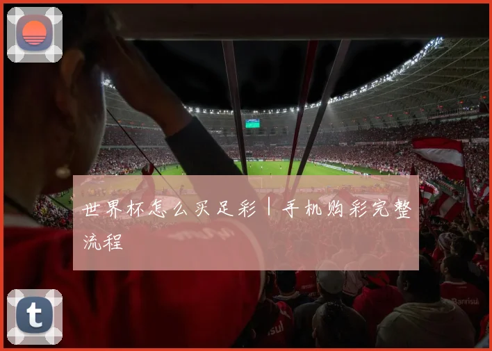 世界杯怎么买足彩｜手机购彩完整流程