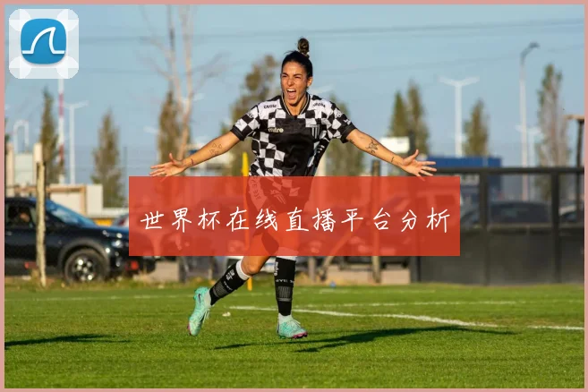 世界杯在线直播平台分析