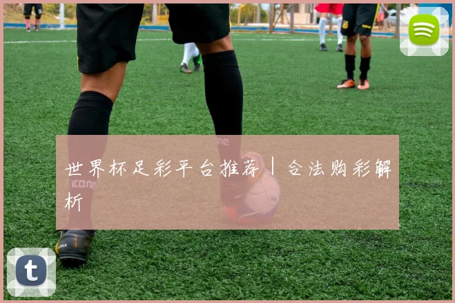 世界杯足彩平台推荐｜合法购彩解析